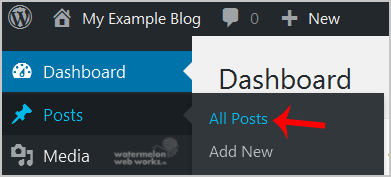 wp-first-time-all-post.gif